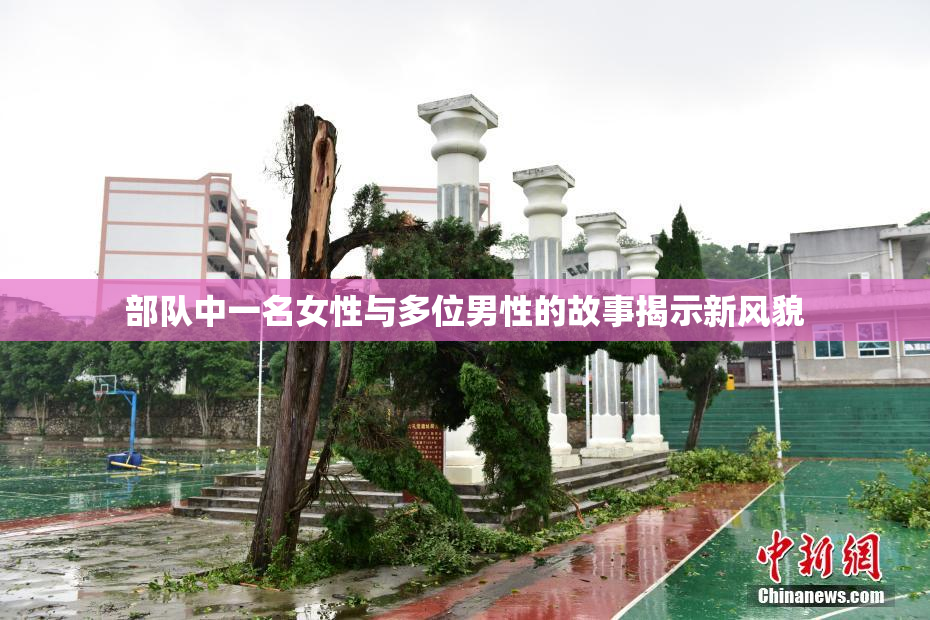 部队中一名女性与多位男性的故事揭示新风貌