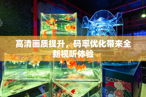 高清画质提升，码率优化带来全新视听体验