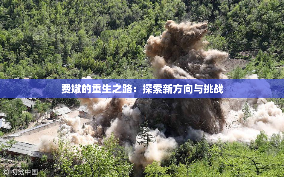 费嫩的重生之路：探索新方向与挑战