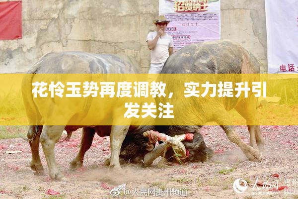 花怜玉势再度调教，实力提升引发关注