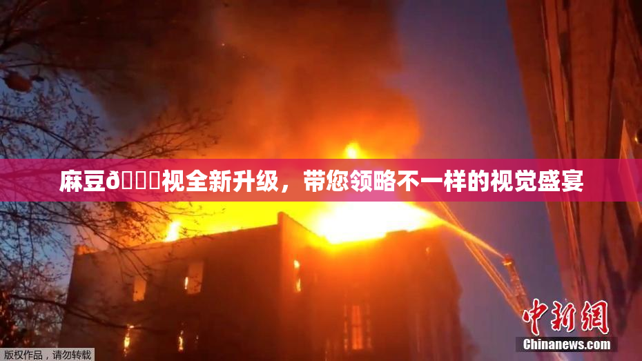 麻豆🔞视全新升级，带您领略不一样的视觉盛宴