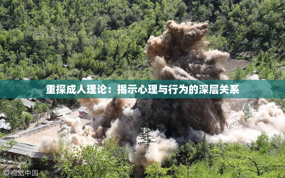 重探成人理论：揭示心理与行为的深层关系