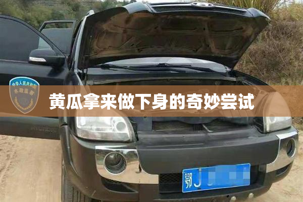 黄瓜拿来做下身的奇妙尝试