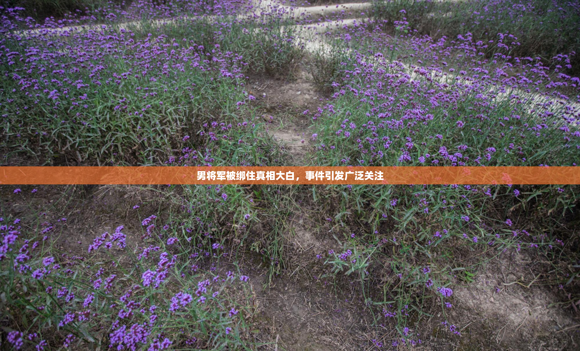 男将军被绑住真相大白，事件引发广泛关注