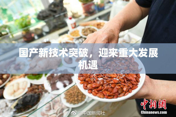 国产新技术突破，迎来重大发展机遇