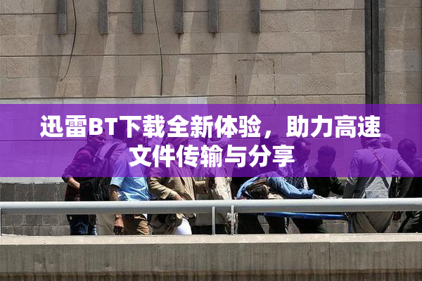 迅雷BT下载全新体验，助力高速文件传输与分享