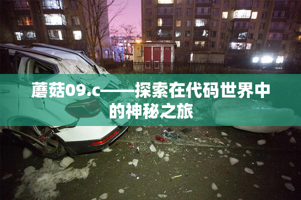 蘑菇09.c——探索在代码世界中的神秘之旅