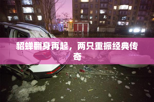 貂蝉翻身再起，两只重振经典传奇