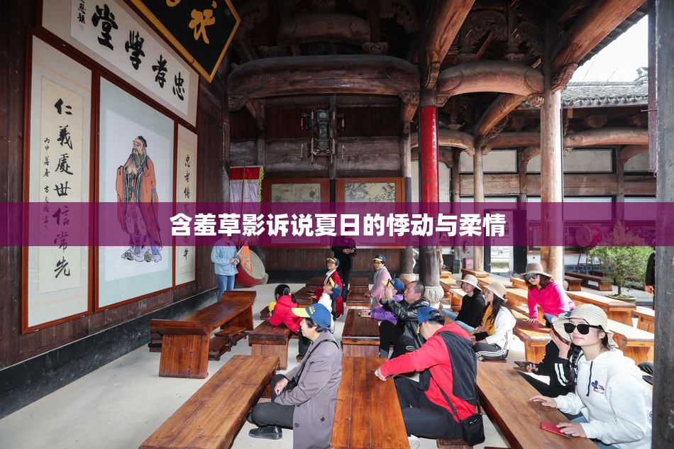 含羞草影诉说夏日的悸动与柔情