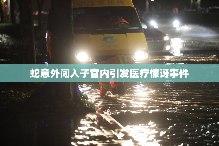 蛇意外闯入子宫内引发医疗惊讶事件