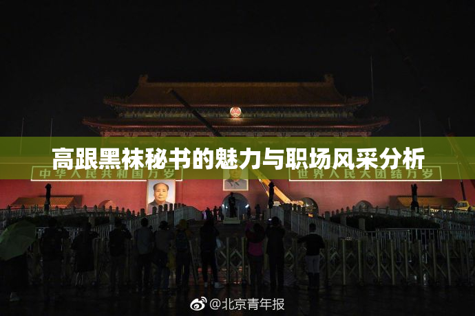 高跟黑袜秘书的魅力与职场风采分析
