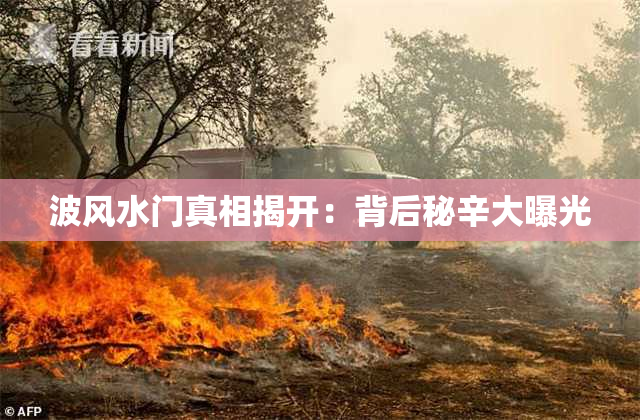 波风水门真相揭开：背后秘辛大曝光