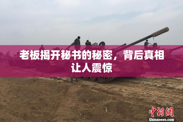 老板揭开秘书的秘密，背后真相让人震惊