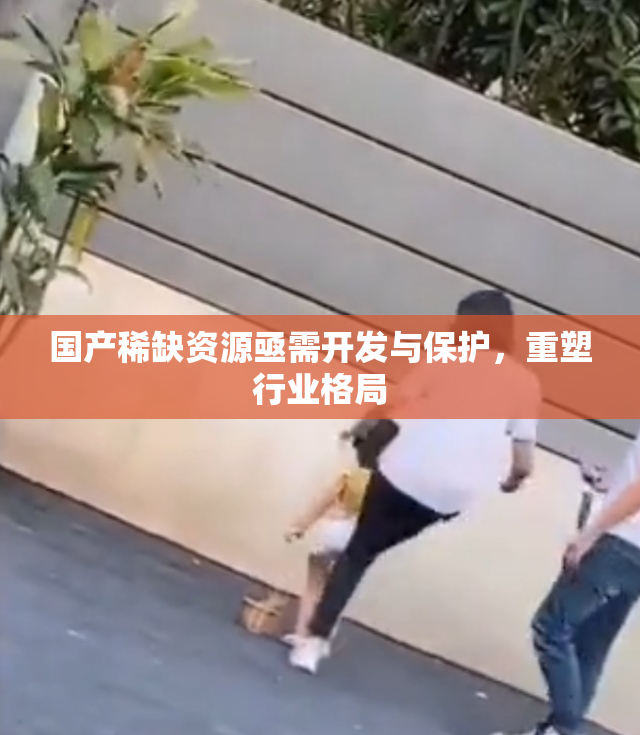 国产稀缺资源亟需开发与保护，重塑行业格局
