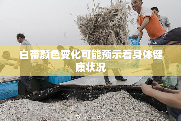 白带颜色变化可能预示着身体健康状况