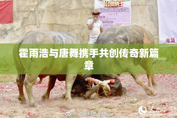 霍雨浩与唐舞携手共创传奇新篇章