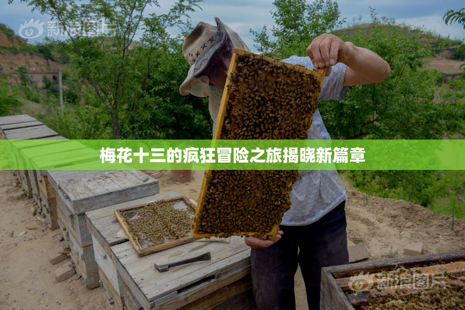梅花十三的疯狂冒险之旅揭晓新篇章