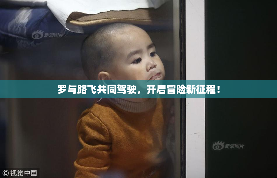 罗与路飞共同驾驶，开启冒险新征程！