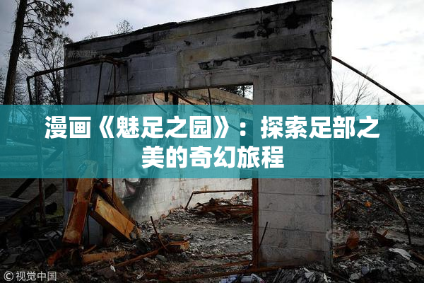 漫画《魅足之园》：探索足部之美的奇幻旅程