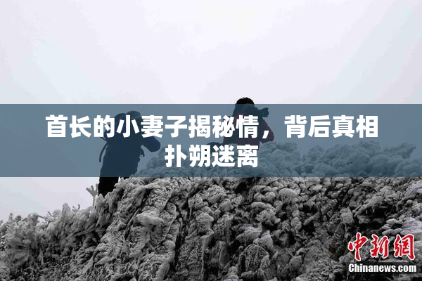 首长的小妻子揭秘情，背后真相扑朔迷离