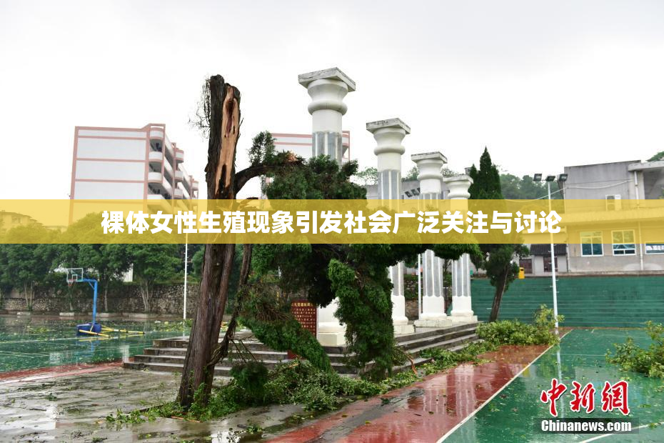 裸体女性生殖现象引发社会广泛关注与讨论