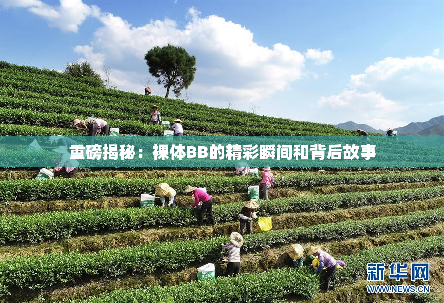 重磅揭秘：裸体BB的精彩瞬间和背后故事
