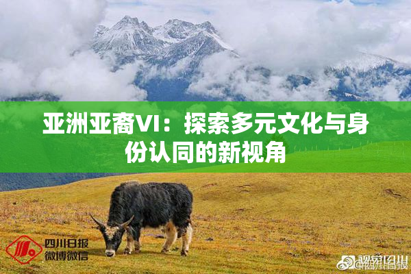 亚洲亚裔VI：探索多元文化与身份认同的新视角