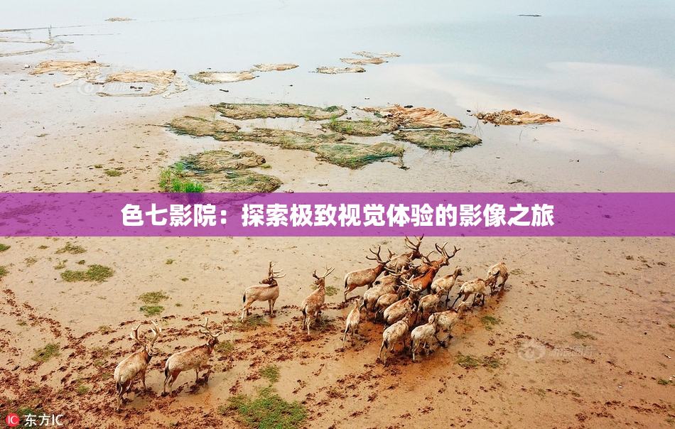 色七影院：探索极致视觉体验的影像之旅