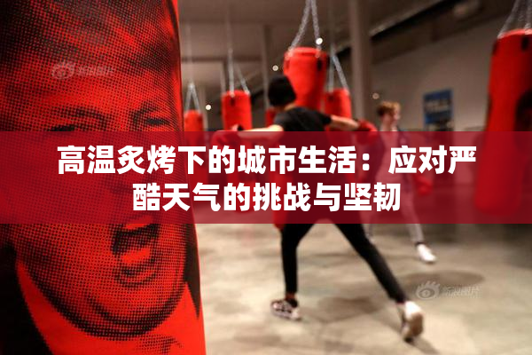 高温炙烤下的城市生活：应对严酷天气的挑战与坚韧