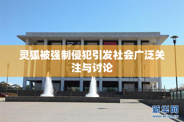 灵狐被强制侵犯引发社会广泛关注与讨论