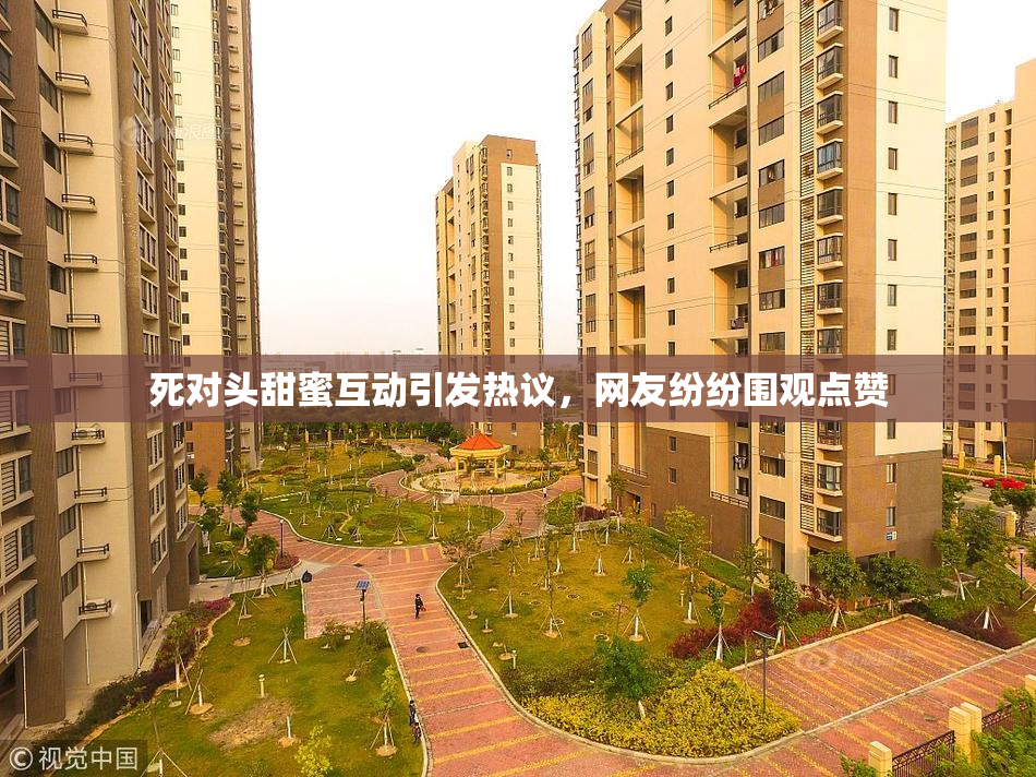 死对头甜蜜互动引发热议，网友纷纷围观点赞