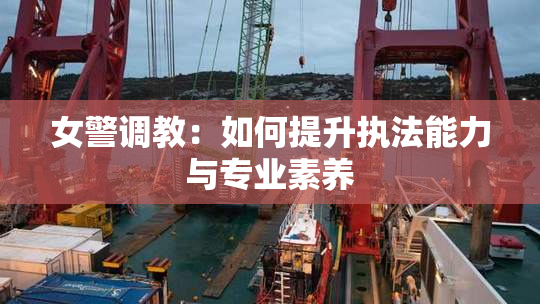 女警调教：如何提升执法能力与专业素养
