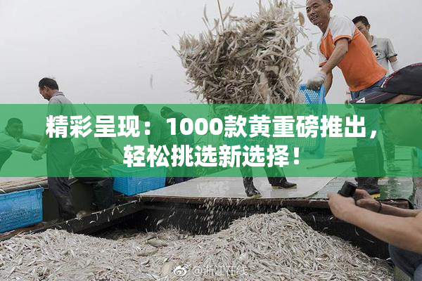 精彩呈现：1000款黄重磅推出，轻松挑选新选择！