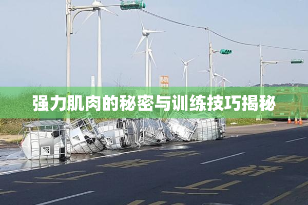 强力肌肉的秘密与训练技巧揭秘