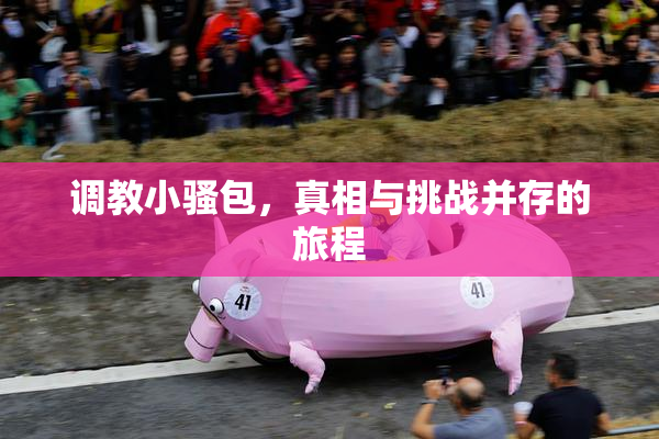 调教小骚包，真相与挑战并存的旅程