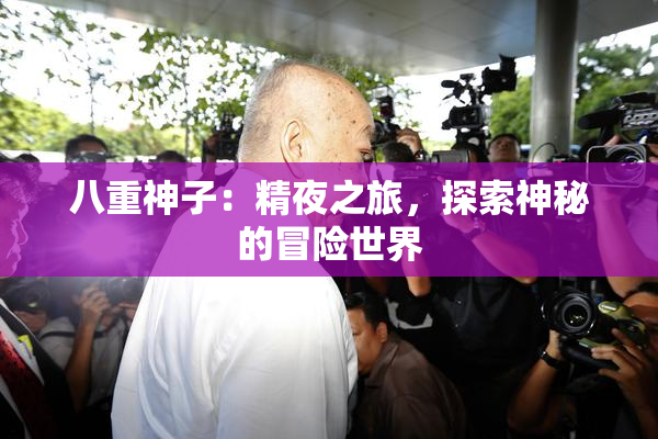 八重神子：精夜之旅，探索神秘的冒险世界