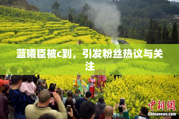 蓝曦臣被c到，引发粉丝热议与关注