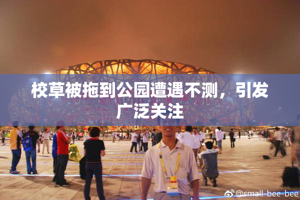校草被拖到公园遭遇不测，引发广泛关注