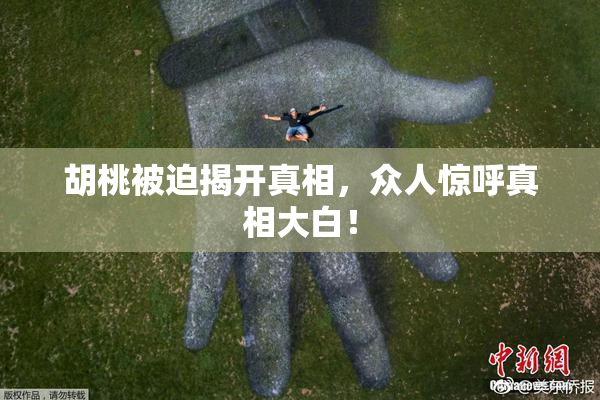 胡桃被迫揭开真相，众人惊呼真相大白！