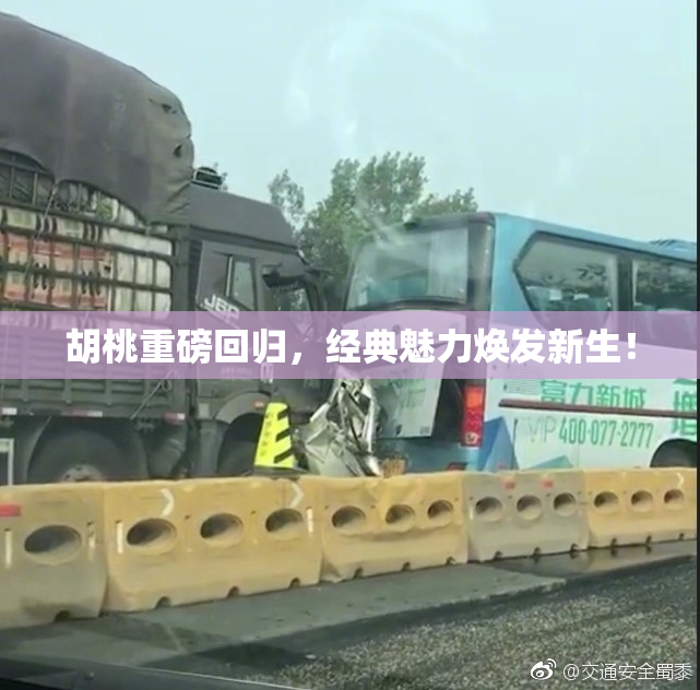 胡桃重磅回归，经典魅力焕发新生！