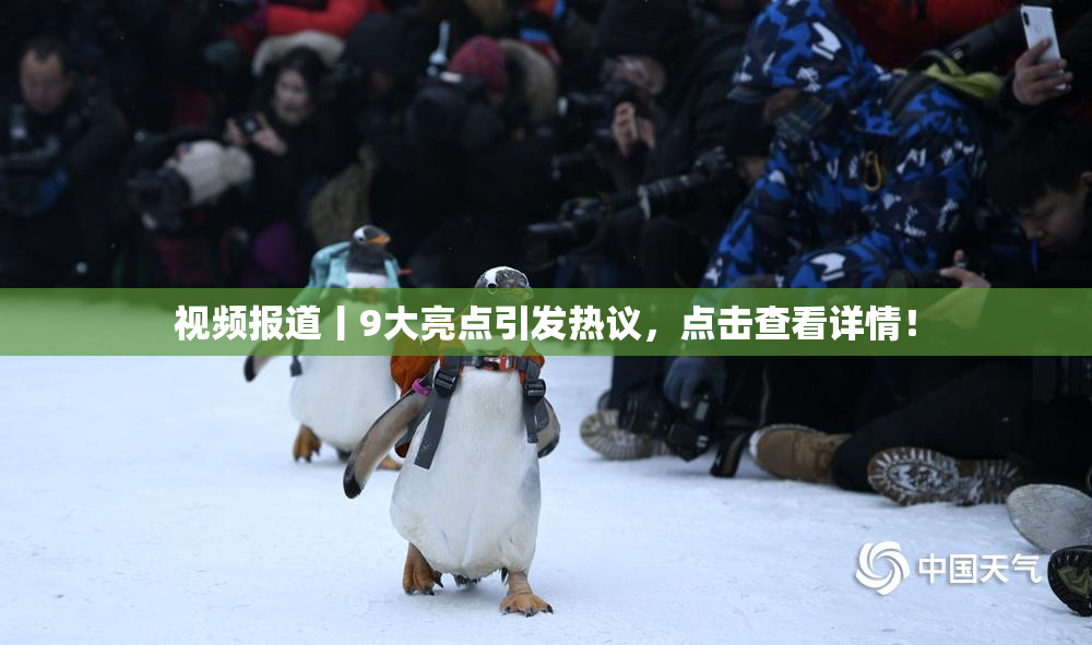 视频报道丨9大亮点引发热议，点击查看详情！