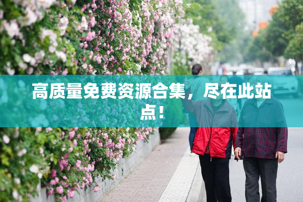 高质量免费资源合集，尽在此站点！