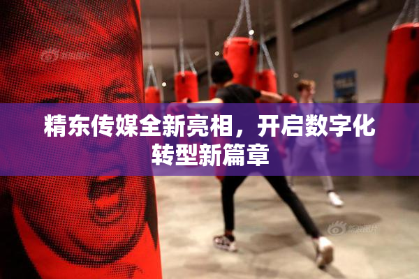 精东传媒全新亮相，开启数字化转型新篇章