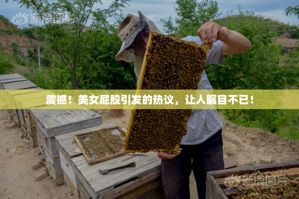 震撼！美女屁股引发的热议，让人瞩目不已！