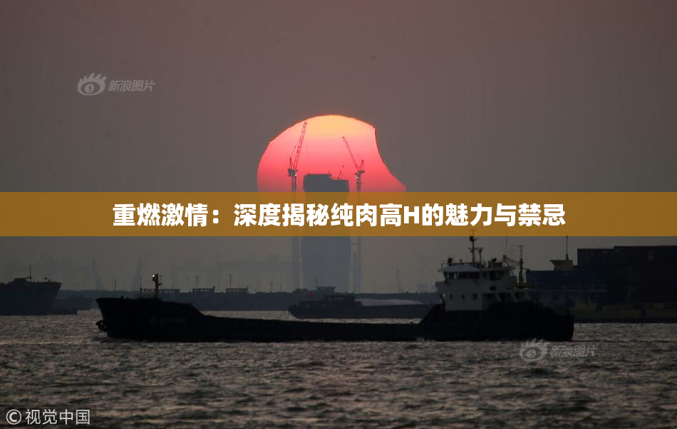 重燃激情：深度揭秘纯肉高H的魅力与禁忌