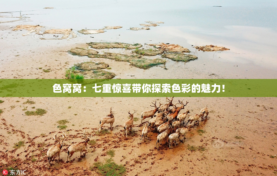 色窝窝：七重惊喜带你探索色彩的魅力！