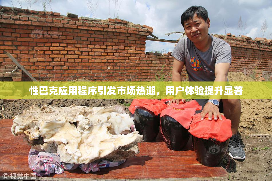 性巴克应用程序引发市场热潮，用户体验提升显著