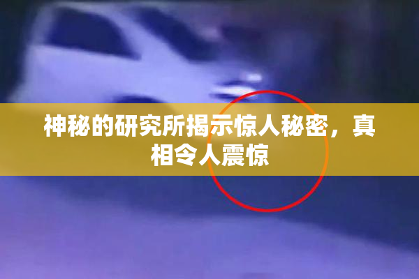 神秘的研究所揭示惊人秘密，真相令人震惊