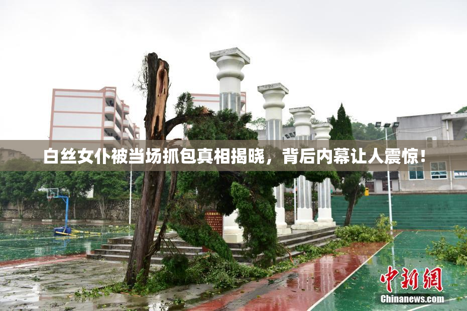 白丝女仆被当场抓包真相揭晓，背后内幕让人震惊！
