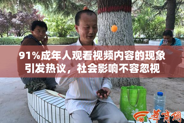 91%成年人观看视频内容的现象引发热议，社会影响不容忽视